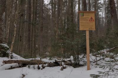 Warnschild am Eingang zur Urwaldweg