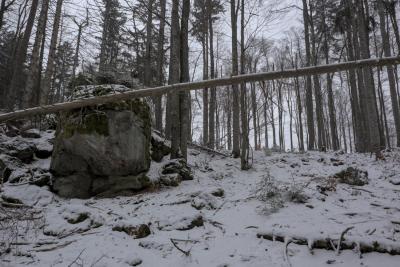 Lieber nicht unter dem Baum funken