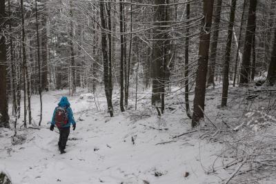 Abstieg durch den frischen Schnee